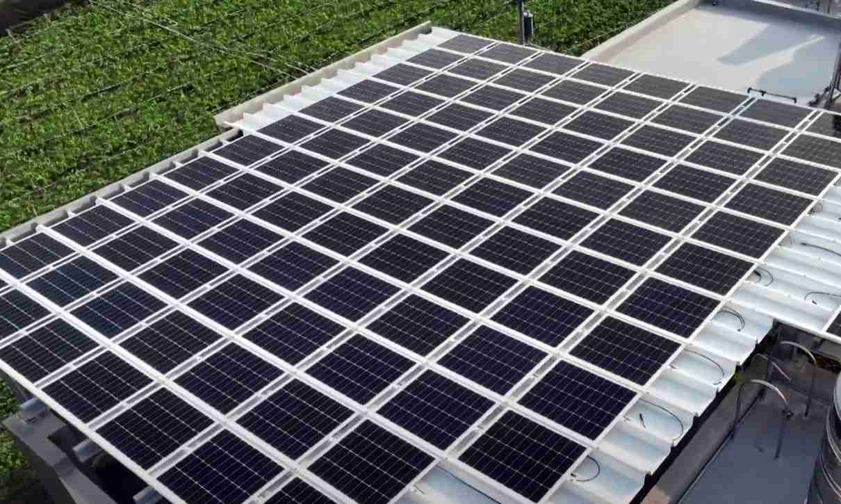 MG电玩SunSteel光电浪板升级双玻结构，，，，以提升机械负载强度及气候耐候度，，，可广泛运用于多元场域